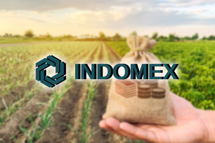 INDOMEX(インドメックス)の詳細・特徴とは?