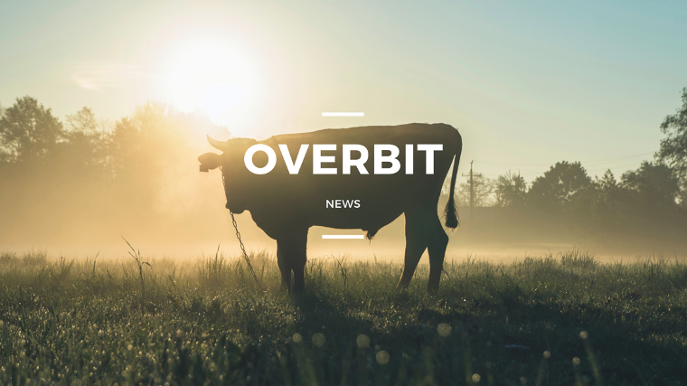 米国の新たな景気刺激策合意-Overbit News